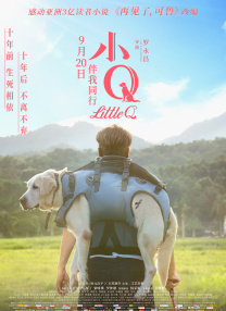 青青操网站